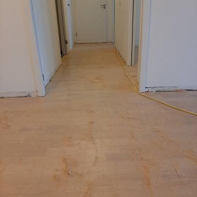 Parket verwijderen zuidas